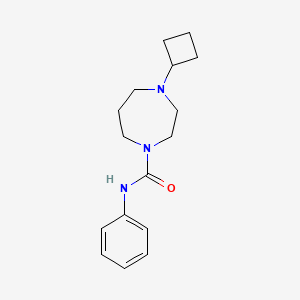4-cyclobutyl-N-phenyl-1,4-diazepane-1-carboxamide