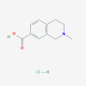 molecular formula C11H14ClNO2 B2803923 2-Methyl-3,4-dihydro-1H-isoquinoline-7-carboxylic acid;hydrochloride CAS No. 1065066-63-8