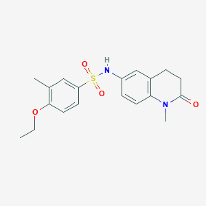 molecular formula C19H22N2O4S B2806245 4-ethoxy-3-methyl-N-(1-methyl-2-oxo-1,2,3,4-tetrahydroquinolin-6-yl)benzenesulfonamide CAS No. 922005-30-9