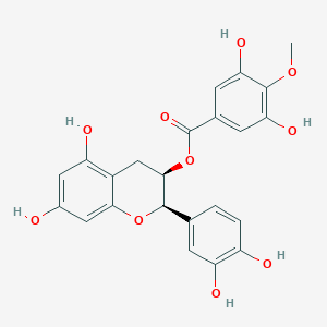 molecular formula C23H20O10 B028073 表儿茶素 3-O-(4-O-甲基没食子酸酯) CAS No. 108907-44-4