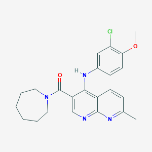 molecular formula C23H25ClN4O2 B2807331 3-(azepan-1-ylcarbonyl)-N-(3-chloro-4-methoxyphenyl)-7-methyl-1,8-naphthyridin-4-amine CAS No. 1251702-74-5