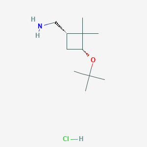 molecular formula C11H24ClNO B2807667 [(1S,3R)-2,2-二甲基-3-[(2-甲基丙烷-2-基)氧基]环丁基]甲胺；盐酸盐 CAS No. 2209078-50-0