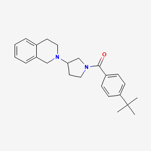 molecular formula C24H30N2O B2807680 (4-(tert-butyl)phenyl)(3-(3,4-dihydroisoquinolin-2(1H)-yl)pyrrolidin-1-yl)methanone CAS No. 2034308-31-9