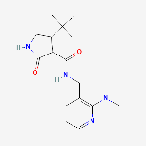 molecular formula C17H26N4O2 B2808438 4-tert-butyl-N-{[2-(dimethylamino)pyridin-3-yl]methyl}-2-oxopyrrolidine-3-carboxamide CAS No. 2097897-18-0