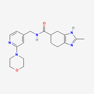 molecular formula C19H25N5O2 B2808827 2-methyl-N-((2-morpholinopyridin-4-yl)methyl)-4,5,6,7-tetrahydro-1H-benzo[d]imidazole-5-carboxamide CAS No. 2034585-03-8