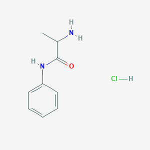 molecular formula C9H13ClN2O B2809106 2-氨基-N-苯基丙酰胺盐酸盐 CAS No. 153973-14-9