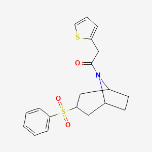 molecular formula C19H21NO3S2 B2809277 1-((1R,5S)-3-(phenylsulfonyl)-8-azabicyclo[3.2.1]octan-8-yl)-2-(thiophen-2-yl)ethanone CAS No. 1448128-21-9