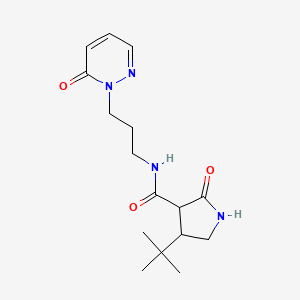 molecular formula C16H24N4O3 B2810902 4-叔丁基-2-氧代-N-[3-(6-氧代-1,6-二氢嘧啶-1-基)丙基]吡咯啉-3-甲酰胺 CAS No. 2097934-56-8