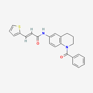 molecular formula C23H20N2O2S B2810995 (E)-N-(1-苯甲酰-1,2,3,4-四氢喹啉-6-基)-3-(噻吩-2-基)丙烯酰胺 CAS No. 1331591-41-3