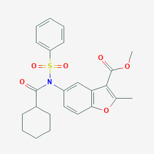 molecular formula C24H25NO6S B281114 Methyl 5-[(cyclohexylcarbonyl)(phenylsulfonyl)amino]-2-methyl-1-benzofuran-3-carboxylate 