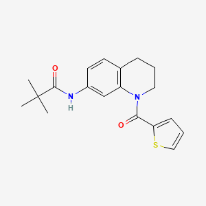 molecular formula C19H22N2O2S B2811326 N-(1-(thiophene-2-carbonyl)-1,2,3,4-tetrahydroquinolin-7-yl)pivalamide CAS No. 946368-08-7