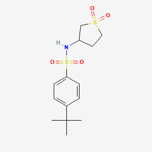 molecular formula C14H21NO4S2 B2811449 4-叔丁基-N-(1,1-二氧代-1lambda6-硫杂戊环-3-基)苯基-1-磺酰胺 CAS No. 874788-21-3