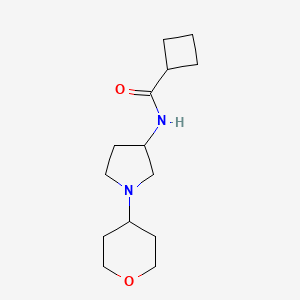 molecular formula C14H24N2O2 B2811692 N-[1-(Oxan-4-yl)pyrrolidin-3-yl]cyclobutanecarboxamide CAS No. 2415471-68-8