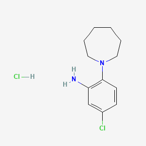 molecular formula C12H18Cl2N2 B2812646 2-(Azepan-1-yl)-5-chloroaniline hydrochloride CAS No. 1052540-85-8