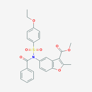 molecular formula C26H23NO7S B281400 Methyl 5-{benzoyl[(4-ethoxyphenyl)sulfonyl]amino}-2-methyl-1-benzofuran-3-carboxylate 