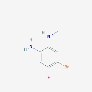 molecular formula C8H10BrFN2 B2814649 5-溴-1-N-乙基-4-氟苯基-1,2-二胺 CAS No. 1602586-39-9