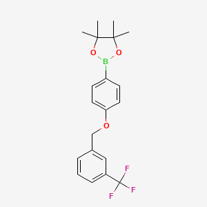 molecular formula C20H22BF3O3 B2814742 1,3,2-二氧杂硼杂环戊烷, 4,4,5,5-四甲基-2-[4-[[3-(三氟甲基)苯基]甲氧基]苯基]- CAS No. 1813554-41-4