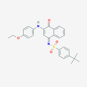molecular formula C28H28N2O4S B281508 4-tert-butyl-N-(3-(4-ethoxyanilino)-4-oxo-1(4H)-naphthalenylidene)benzenesulfonamide 