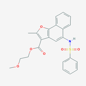 molecular formula C23H21NO6S B281594 2-Methoxyethyl 2-methyl-5-[(phenylsulfonyl)amino]naphtho[1,2-b]furan-3-carboxylate 