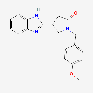 4-(1H-benzimidazol-2-yl)-1-(4-methoxybenzyl)pyrrolidin-2-one