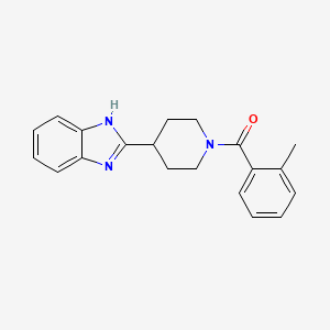molecular formula C20H21N3O B2816887 [4-(1H-benzimidazol-2-yl)piperidin-1-yl]-(2-methylphenyl)methanone CAS No. 1324184-33-9