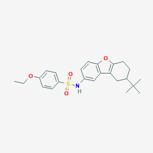 molecular formula C24H29NO4S B281704 N-(8-tert-butyl-6,7,8,9-tetrahydrodibenzofuran-2-yl)-4-ethoxybenzenesulfonamide CAS No. 4323-98-2