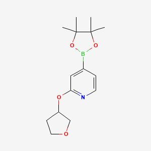 2-(Tetrahydrofuran-3-yloxy)pyridine-4-boronic acid pinacol ester