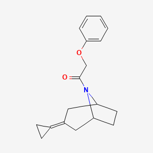 1-{3-Cyclopropylidene-8-azabicyclo[3.2.1]octan-8-yl}-2-phenoxyethan-1-one