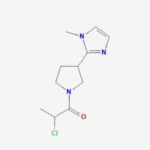 2-Chloro-1-[3-(1-methylimidazol-2-yl)pyrrolidin-1-yl]propan-1-one