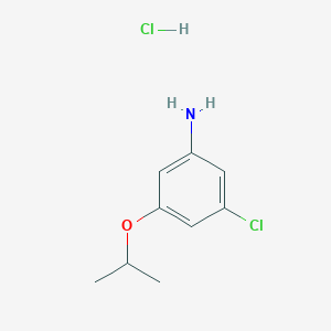 molecular formula C9H13Cl2NO B2817884 3-Chloro-5-propan-2-yloxyaniline;hydrochloride CAS No. 2260931-74-4