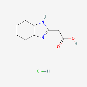 molecular formula C9H13ClN2O2 B2818063 2-(4,5,6,7-Tetrahydro-1h-1,3-benzodiazol-2-yl)acetic acid hydrochloride CAS No. 2219379-40-3