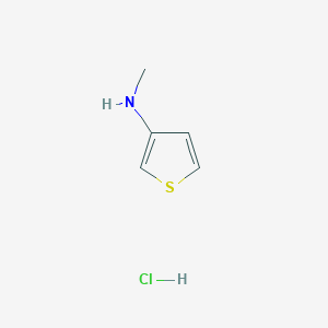 molecular formula C5H8ClNS B2818521 N-methylthiophen-3-amine hydrochloride CAS No. 1909337-35-4