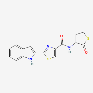 molecular formula C16H13N3O2S2 B2818615 2-(1H-indol-2-yl)-N-(2-oxothiolan-3-yl)-1,3-thiazole-4-carboxamide CAS No. 1171896-48-2