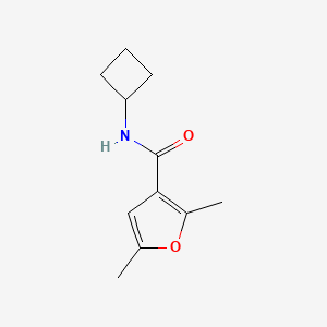 N-cyclobutyl-2,5-dimethylfuran-3-carboxamide
