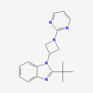 2-tert-butyl-1-[1-(pyrimidin-2-yl)azetidin-3-yl]-1H-1,3-benzodiazole