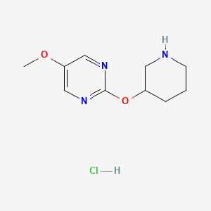 molecular formula C10H16ClN3O2 B2818853 5-甲氧基-2-(哌啶-3-氧基)嘧啶盐酸盐 CAS No. 1707580-77-5