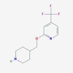 B2819789 2-(Piperidin-4-ylmethoxy)-4-(trifluoromethyl)pyridine CAS No. 1428233-91-3