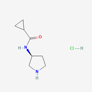molecular formula C8H15ClN2O B2820290 N-[(3S)-pyrrolidin-3-yl]cyclopropanecarboxamide hydrochloride CAS No. 1884705-01-4