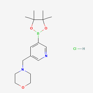 molecular formula C16H26BClN2O3 B2821041 5-Morpholinomethylpyridine-3-boronic acid pinacol ester HCl CAS No. 2377610-96-1