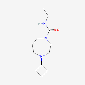 molecular formula C12H23N3O B2821119 4-cyclobutyl-N-ethyl-1,4-diazepane-1-carboxamide CAS No. 2189499-57-6