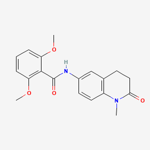 molecular formula C19H20N2O4 B2821814 2,6-dimethoxy-N-(1-methyl-2-oxo-1,2,3,4-tetrahydroquinolin-6-yl)benzamide CAS No. 922053-80-3