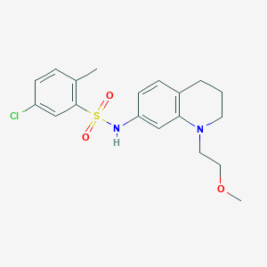 molecular formula C19H23ClN2O3S B2822360 5-氯-N-(1-(2-甲氧基乙基)-1,2,3,4-四氢喹啉-7-基)-2-甲基苯磺酰胺 CAS No. 1172319-97-9
