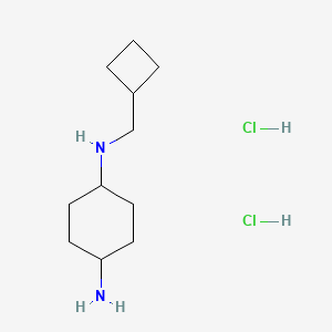 molecular formula C11H24Cl2N2 B2823176 (1R*,4R*)-N1-(Cyclobutylmethyl)cyclohexane-1,4-diamine dihydrochloride CAS No. 1286272-97-6