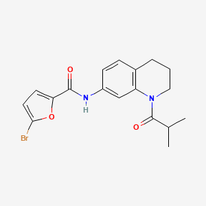 molecular formula C18H19BrN2O3 B2823536 5-溴-N-(1-异丁酰-1,2,3,4-四氢喹啉-7-基)-2-呋酰胺 CAS No. 1005301-44-9