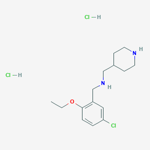(5-Chloro-2-ethoxybenzyl)(piperidin-4-ylmethyl)amine dihydrochloride