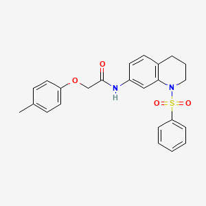 molecular formula C24H24N2O4S B2823955 2-(4-methylphenoxy)-N-[1-(phenylsulfonyl)-1,2,3,4-tetrahydroquinolin-7-yl]acetamide CAS No. 1005299-72-8