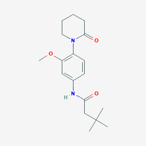 N-(3-methoxy-4-(2-oxopiperidin-1-yl)phenyl)-3,3-dimethylbutanamide