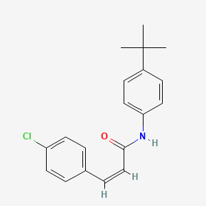 (2Z)-N-(4-tert-butylphenyl)-3-(4-chlorophenyl)prop-2-enamide