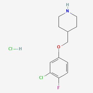 4-[(3-Chloro-4-fluorophenoxy)methyl]piperidine hydrochloride
