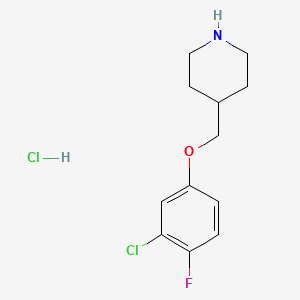 molecular formula C12H16Cl2FNO B2825923 4-[(3-Chloro-4-fluorophenoxy)methyl]piperidine hydrochloride CAS No. 1050509-61-9